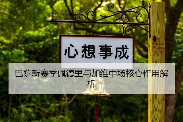 巴萨新赛季佩德里与加维中场核心作用解析 - Yion